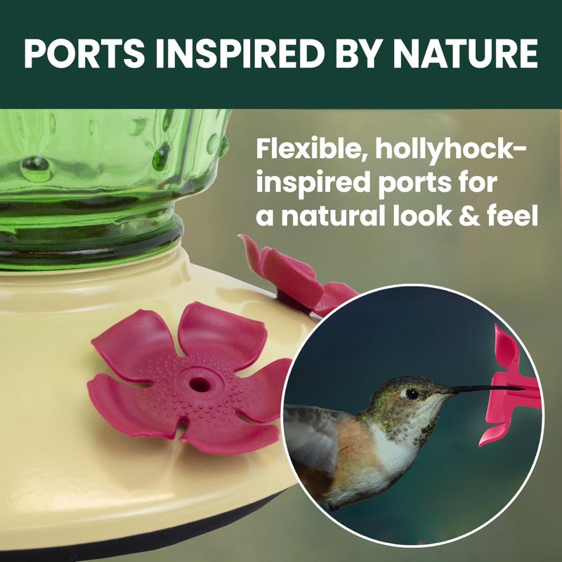 Perky-Pet Cactus Top Fill Glass Hummingbird Feeder with Built-in Bee Guards & Removable Perches - 32 oz Nectar Capacity - Hummingbird Feeder for Outdoors - 9111-1SR - Image 4